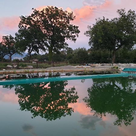 فيلا Agriturismo Albero Del Miele San Rufo المظهر الخارجي الصورة